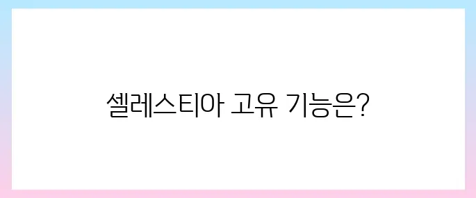 셀레스티아(TIA)코인 호재, 소개 및 전망