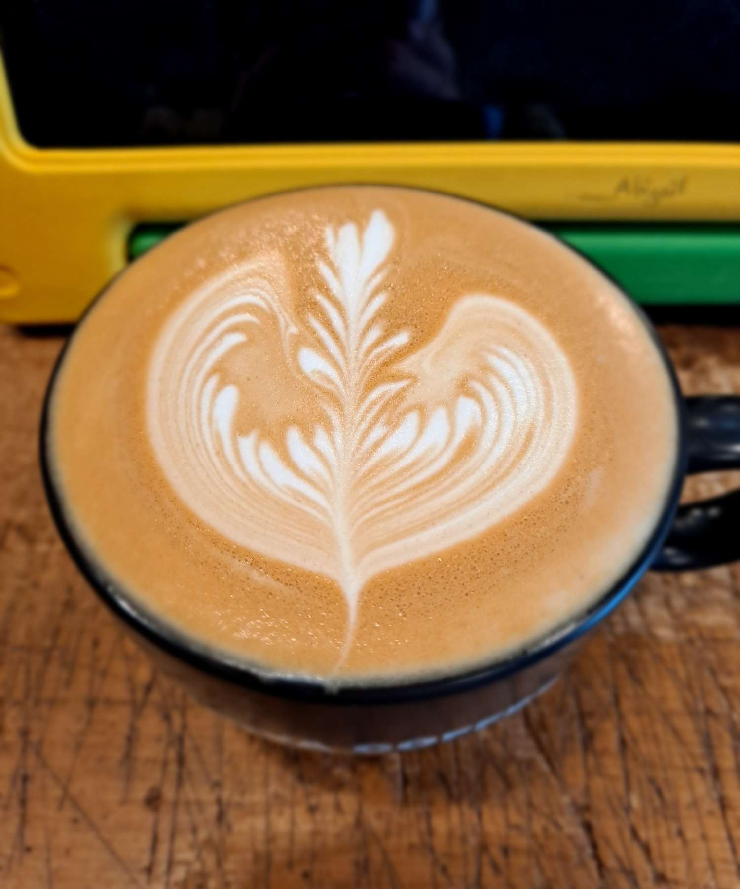 좌우비대칭 로제타