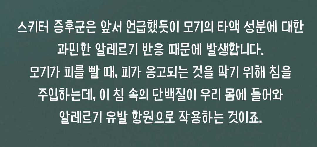 스키터 증후군의 핵심 원인과 발생 기전