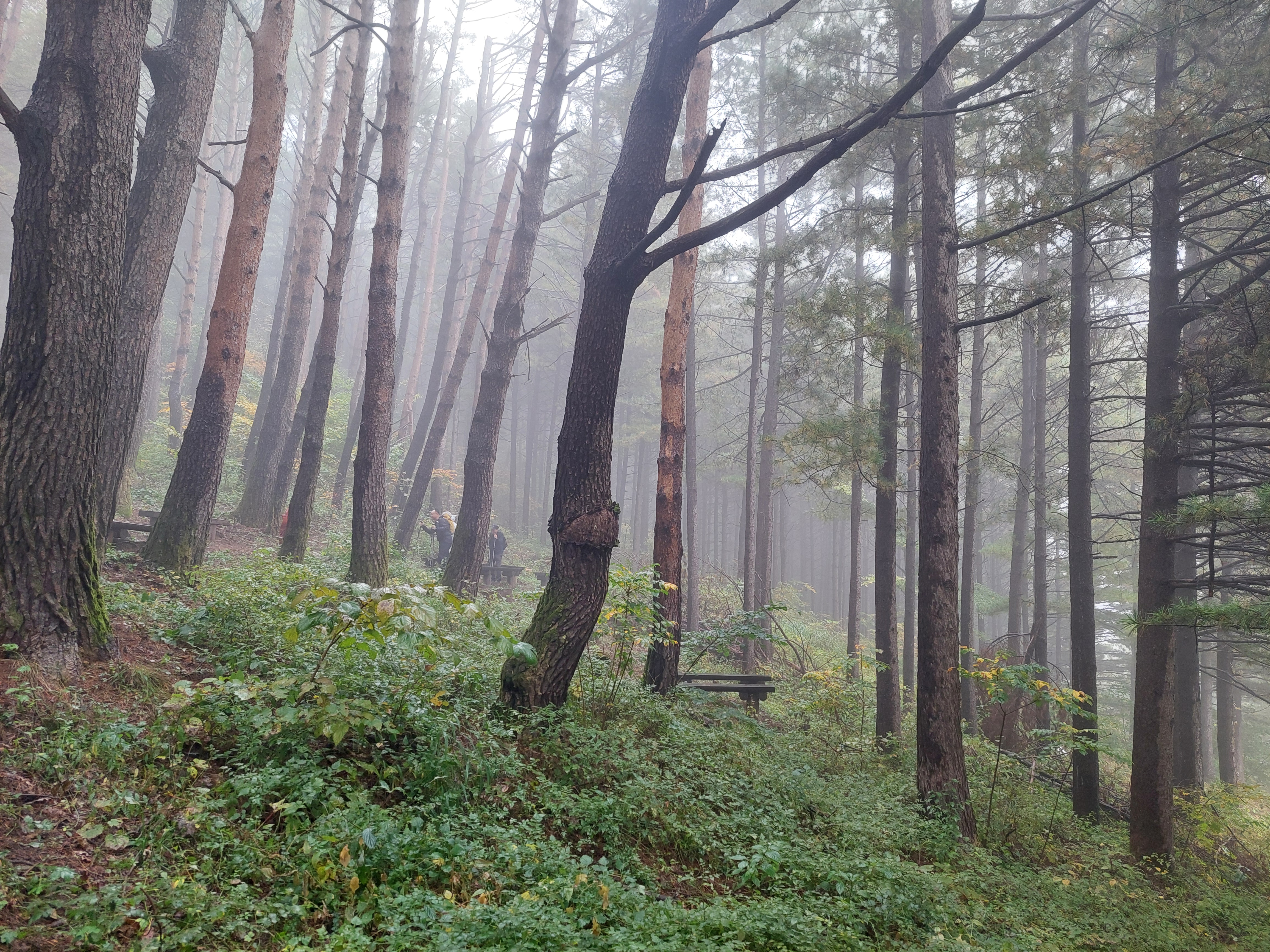 민둥산