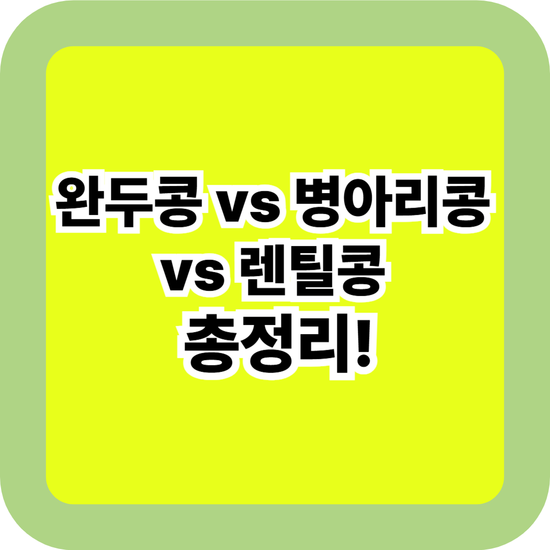 완두콩 vs 병아리콩 vs 렌틸콩 총정리! 식물성 단백질&middot;효능&middot;활용법 비교 가이드