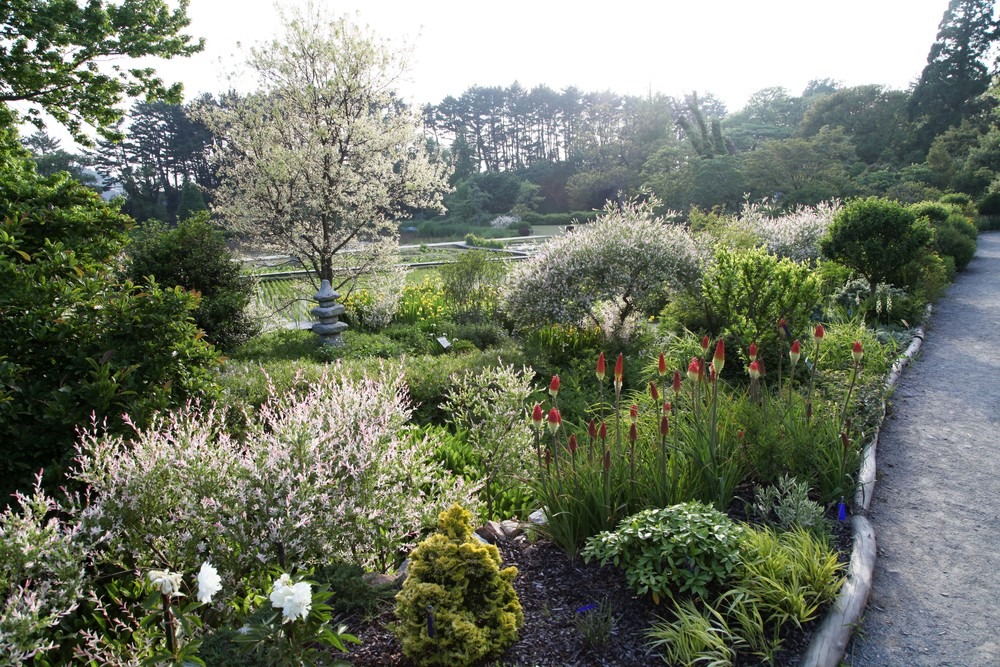 태안 천리포 수목원 수국