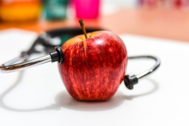 사과 청진기 사진
