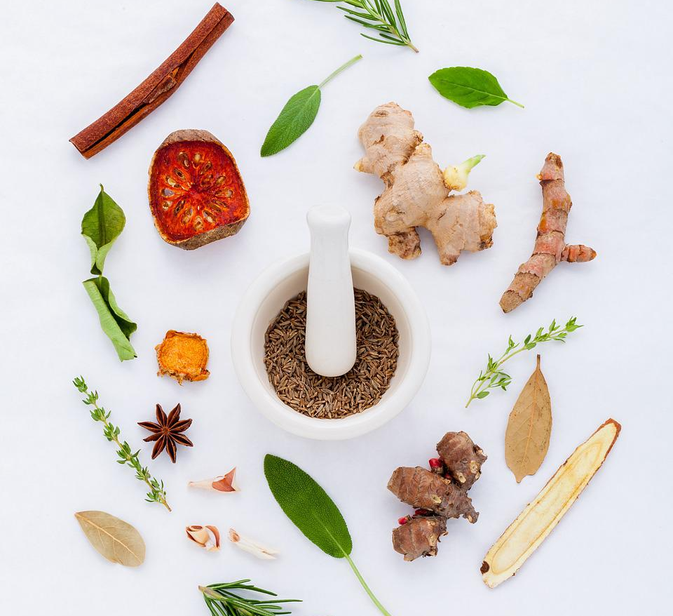 건강에 좋은 한양재들