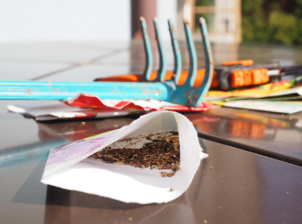 상추 씨앗 심는 방법