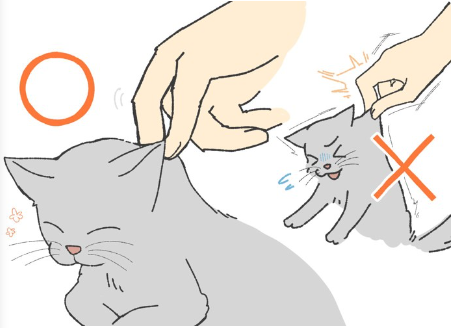 부드럽게 피부를 따다.