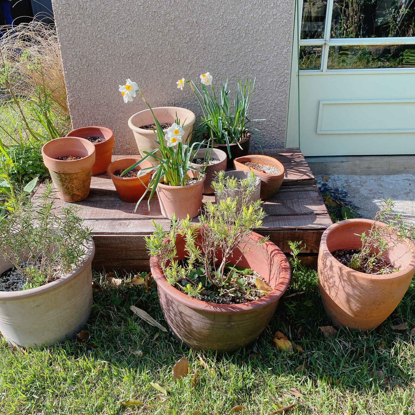 제주 조천 스위스마을 백종원의 3대천왕 당근케이크 구좌상회 카페