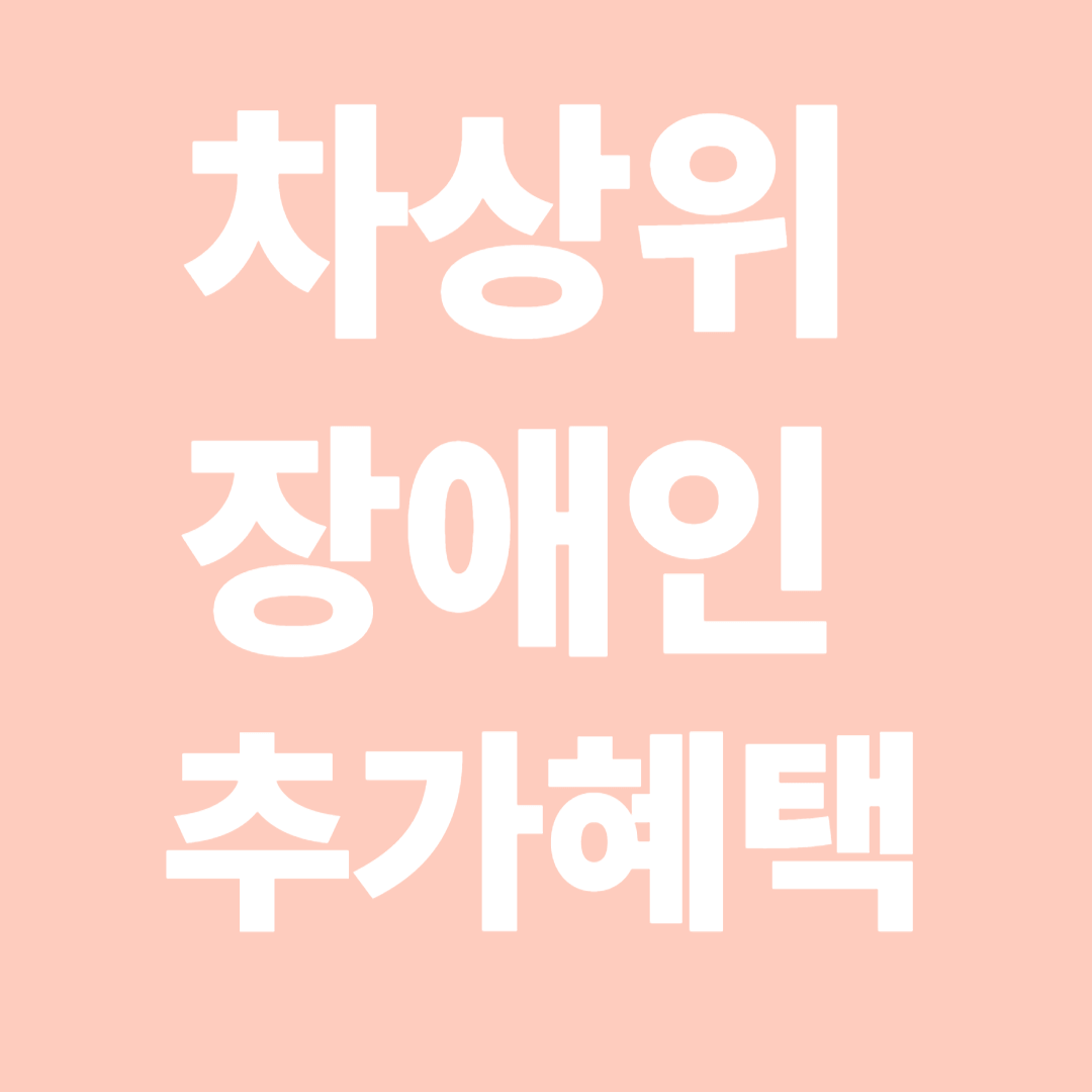 차상위계층 장애인 추가혜택