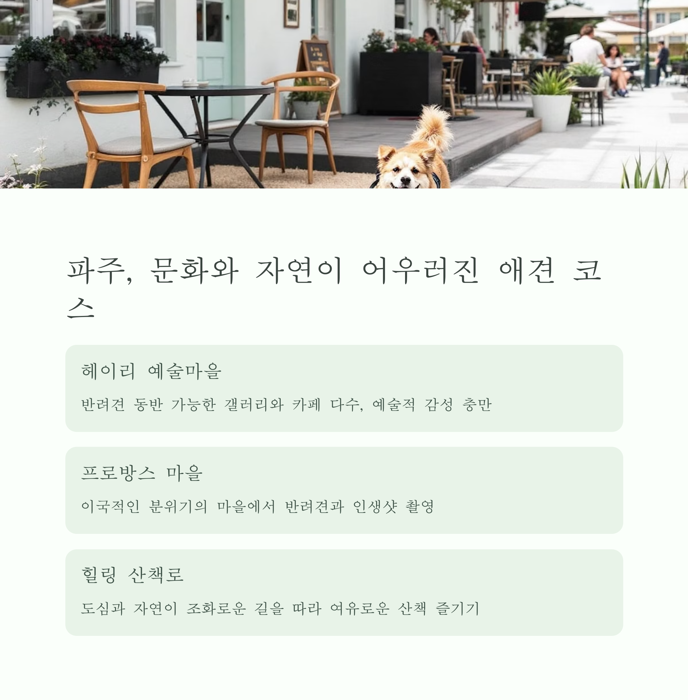 파주, 문화와 자연이 어우러진 애견 코스