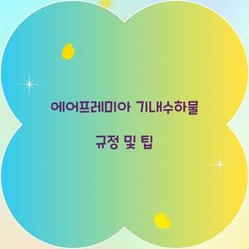 에어프레미아 기내수하물