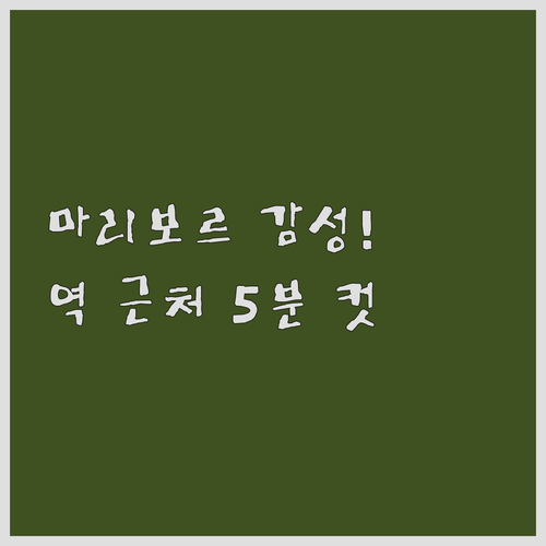 슬로베니아 마리보르 기차역 근처 5분..