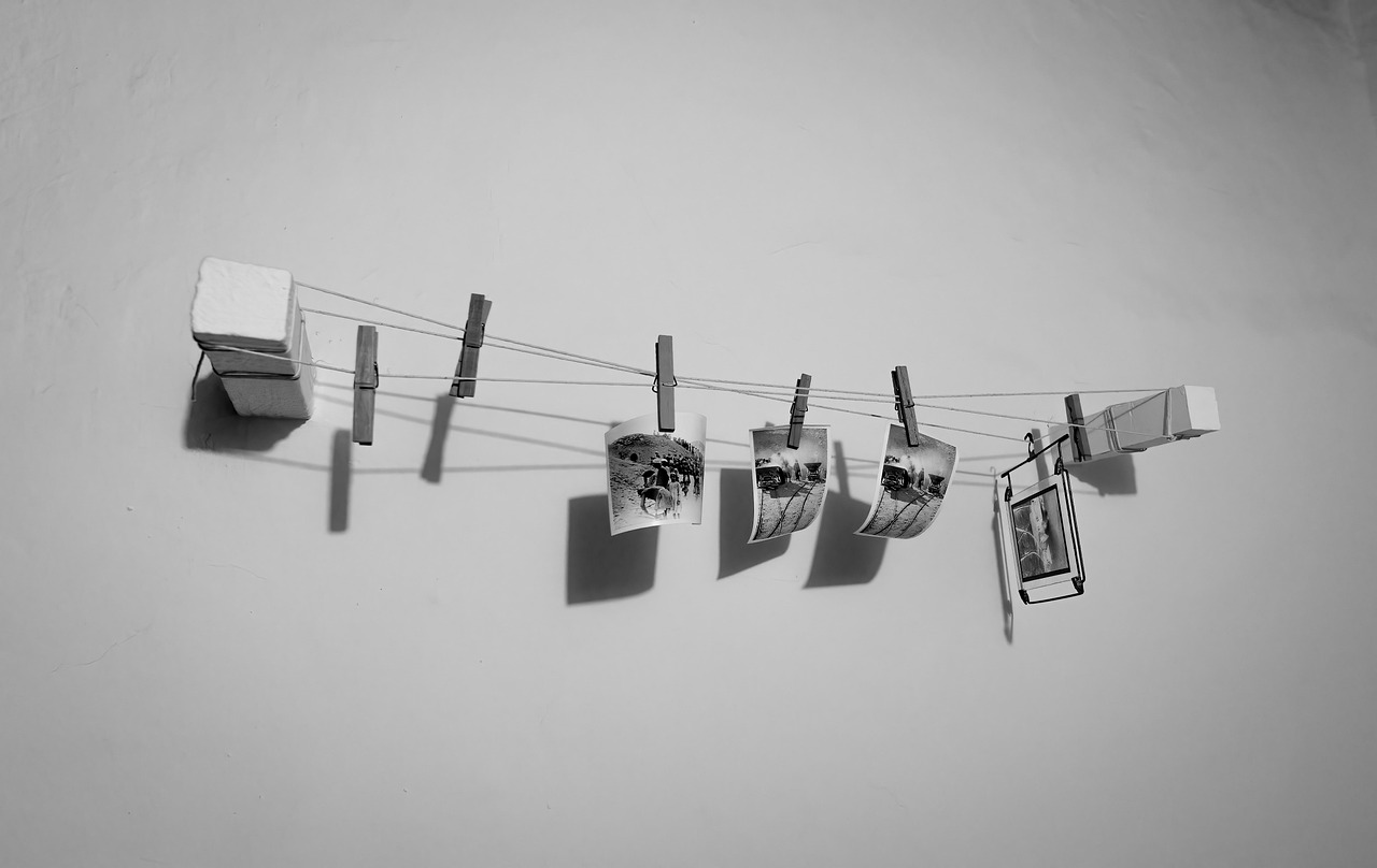 영화 감독 관련 사진