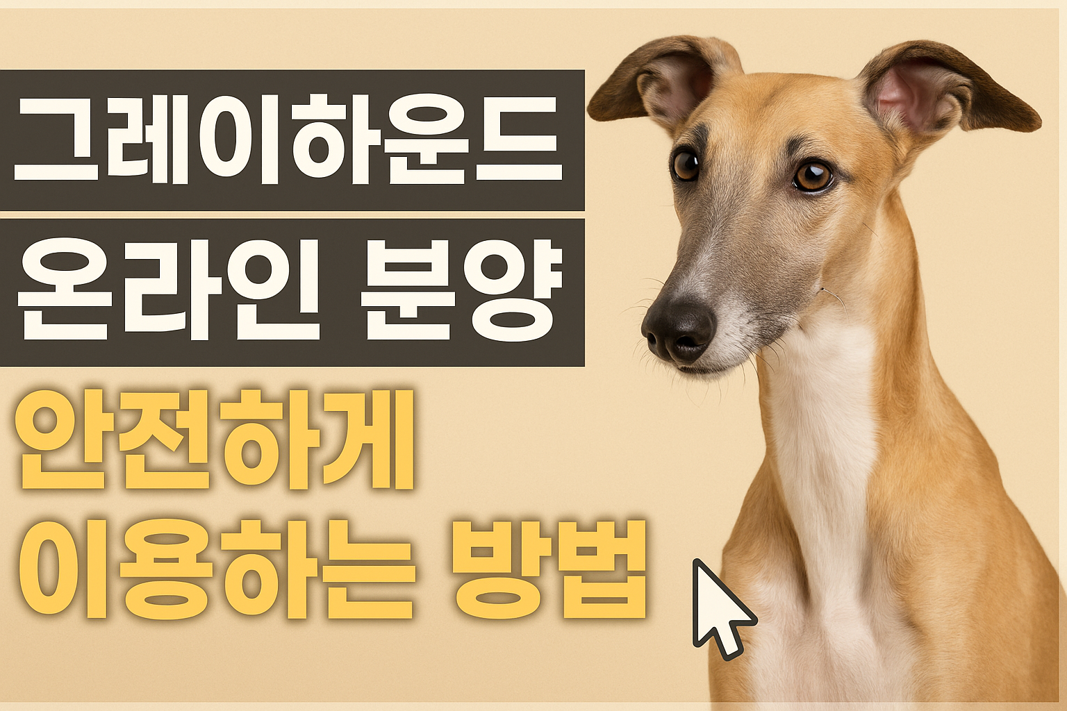 그레이하운드 온라인 분양