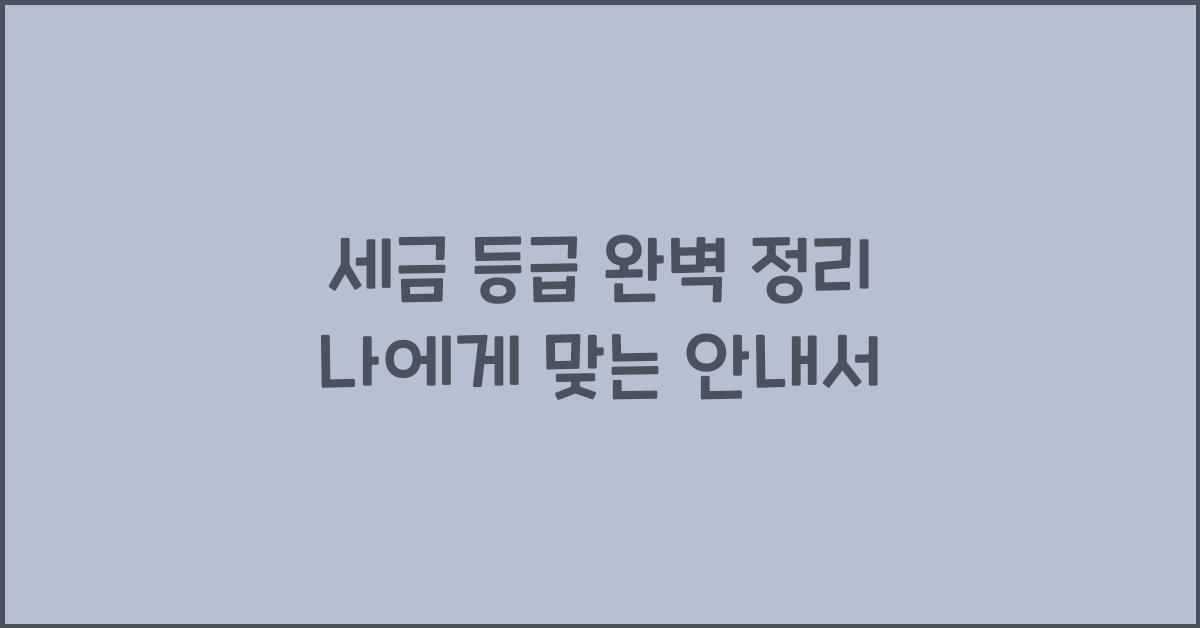 세금 등급