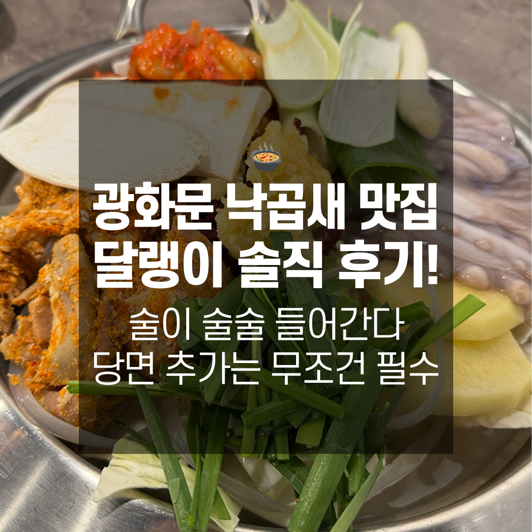 광화문 낙곱새 맛집, 달랭이 솔직 후기! 당면 추가는 무조건 필수