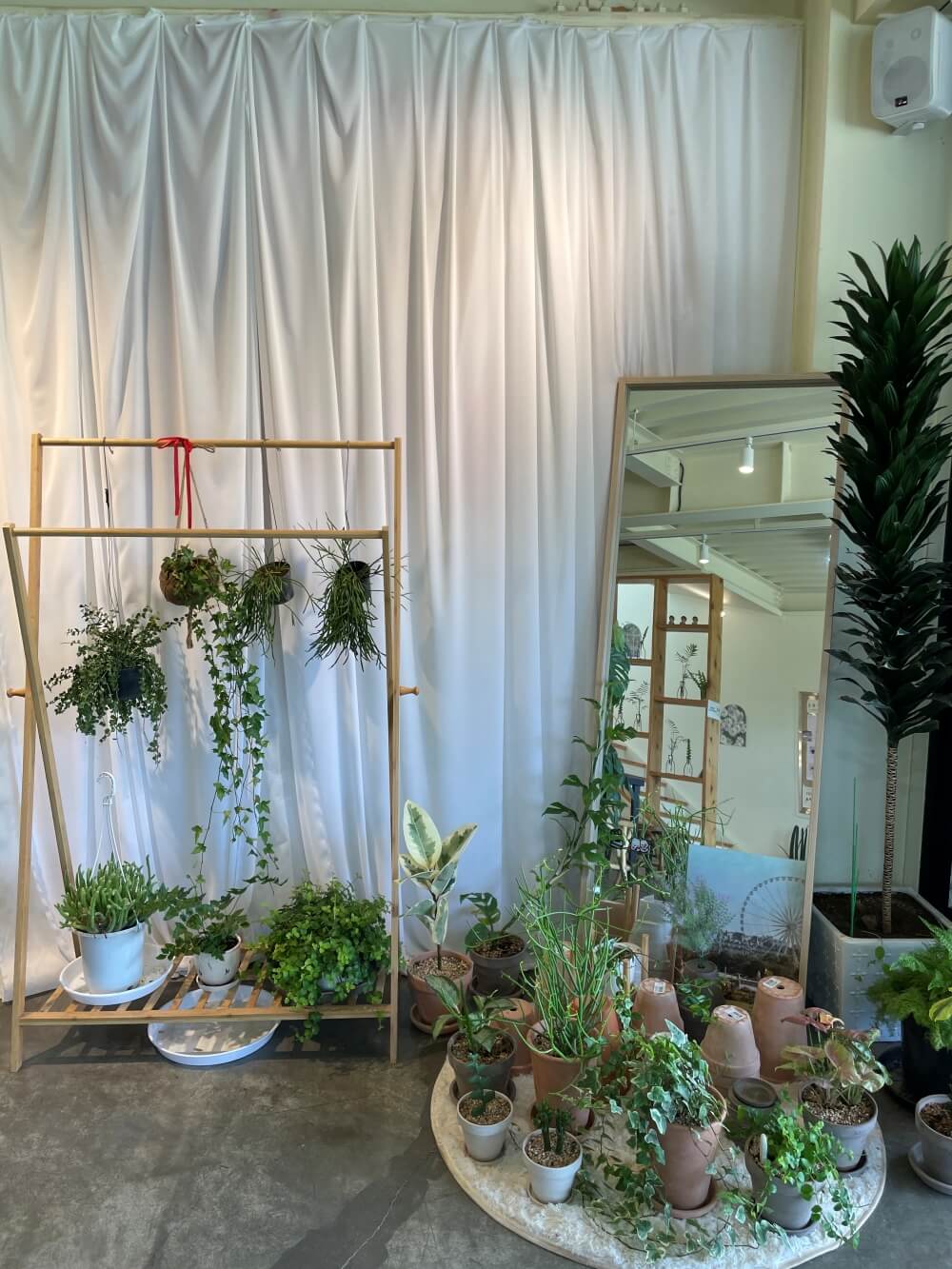 춘천-신북-카페-쉬러와-매장-2층-포토존