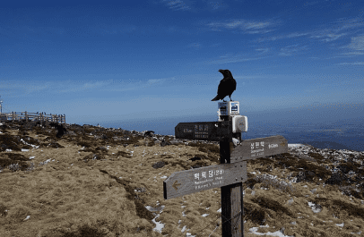 제주도 가볼만한곳 10곳