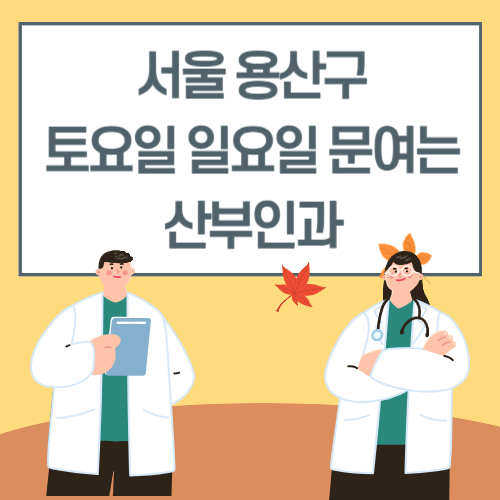 서울 용산구 토요일 일요일 산부인과 진료 병원 리스트
