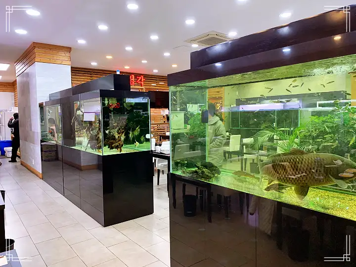 트렌드스페셜 남양주 퇴계원 중식당 안에 수족관 아쿠아리움 짜장면 간짜장 맛집