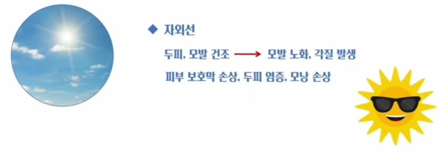 탈모두피