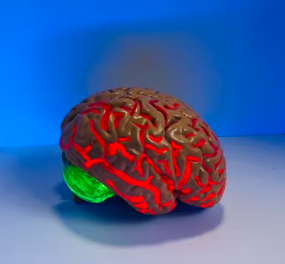 알츠하이머병 증상 원인 예방 가이드북