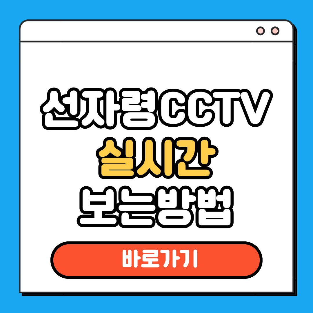 선자령 CCTV