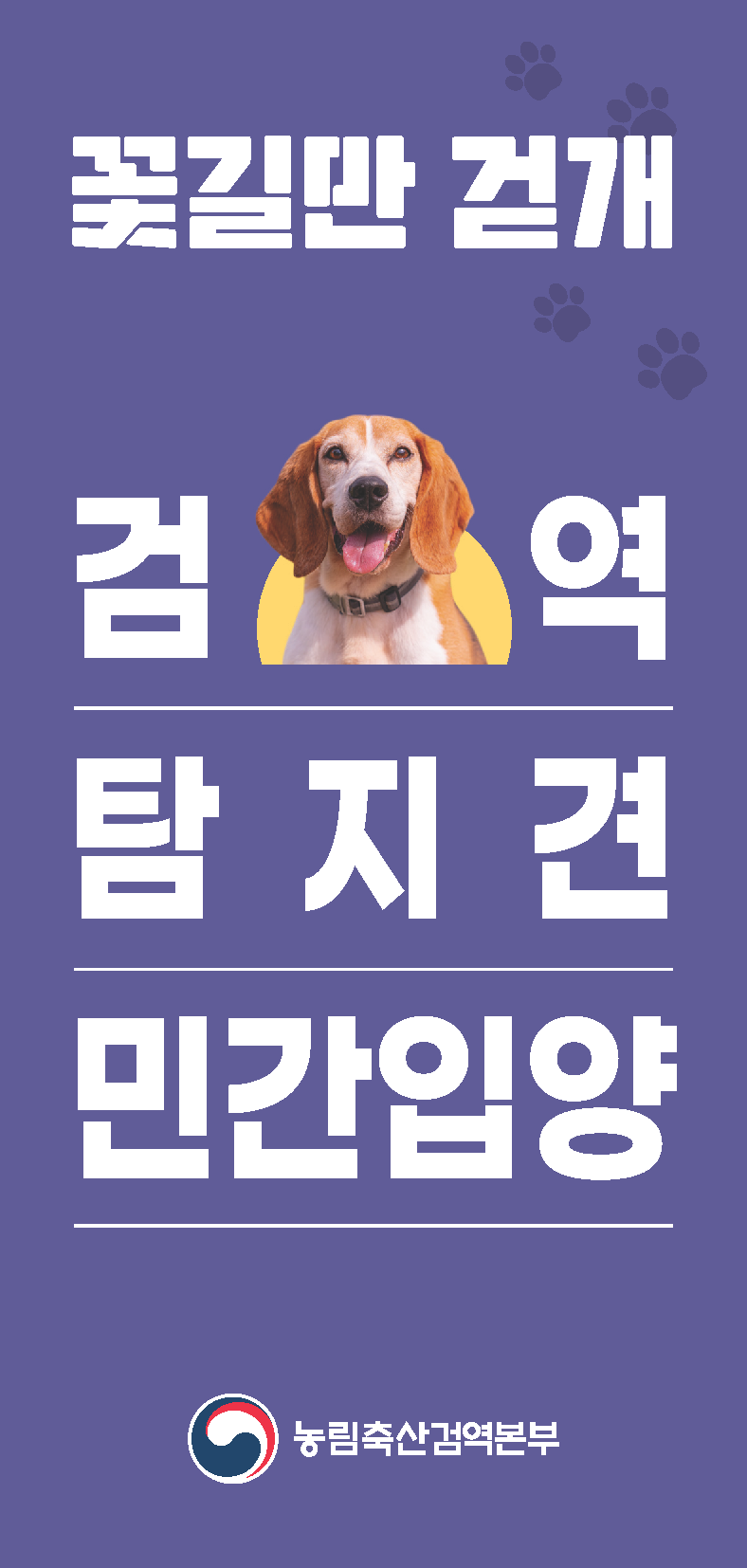 은퇴 검역탐지견 민간 입양 프로그램 소개! [반려견 강아지 애견 입양]