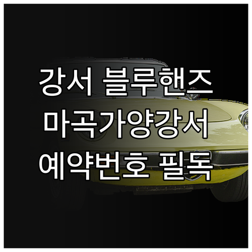 강서구 블루핸즈 마곡점 가양점 강서점..