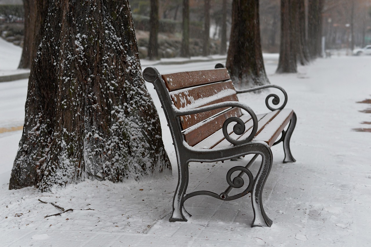 대구 겨울 여행 관련 사진