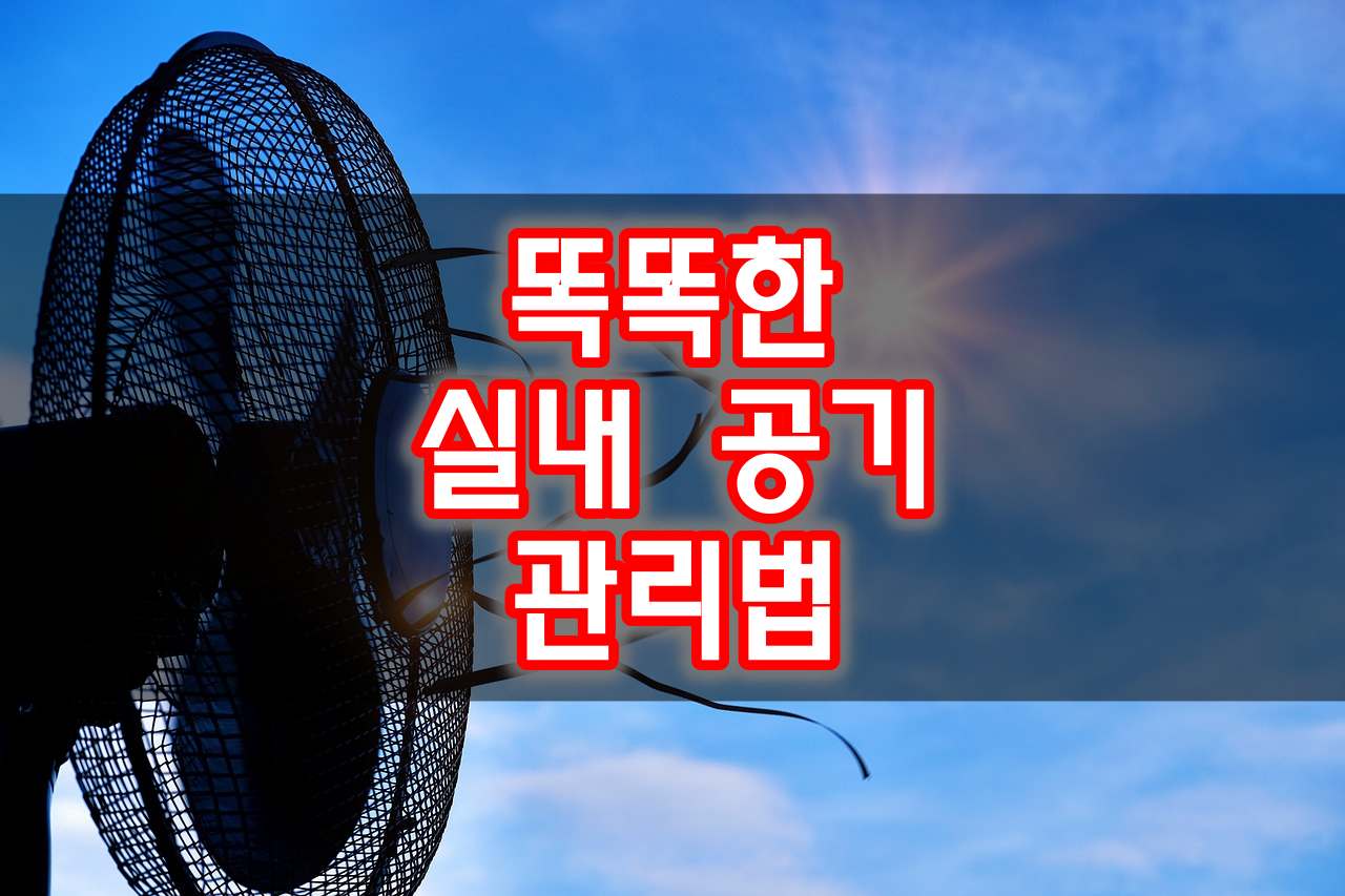 생방송 오늘저녁 똑똑한 실내 공기 관리법 소개 방송