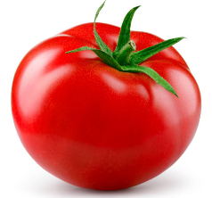 토마토