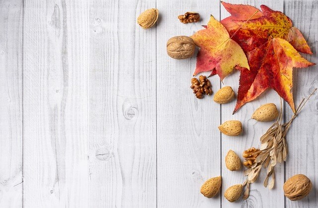 아몬드 하루 섭취량 아몬드 효능 부작용 30초 정리(feat. 아몬드브리즈)