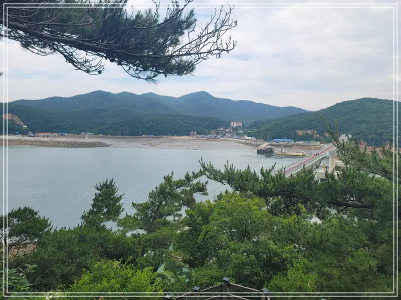 소무의도-둘레길20250714_124938