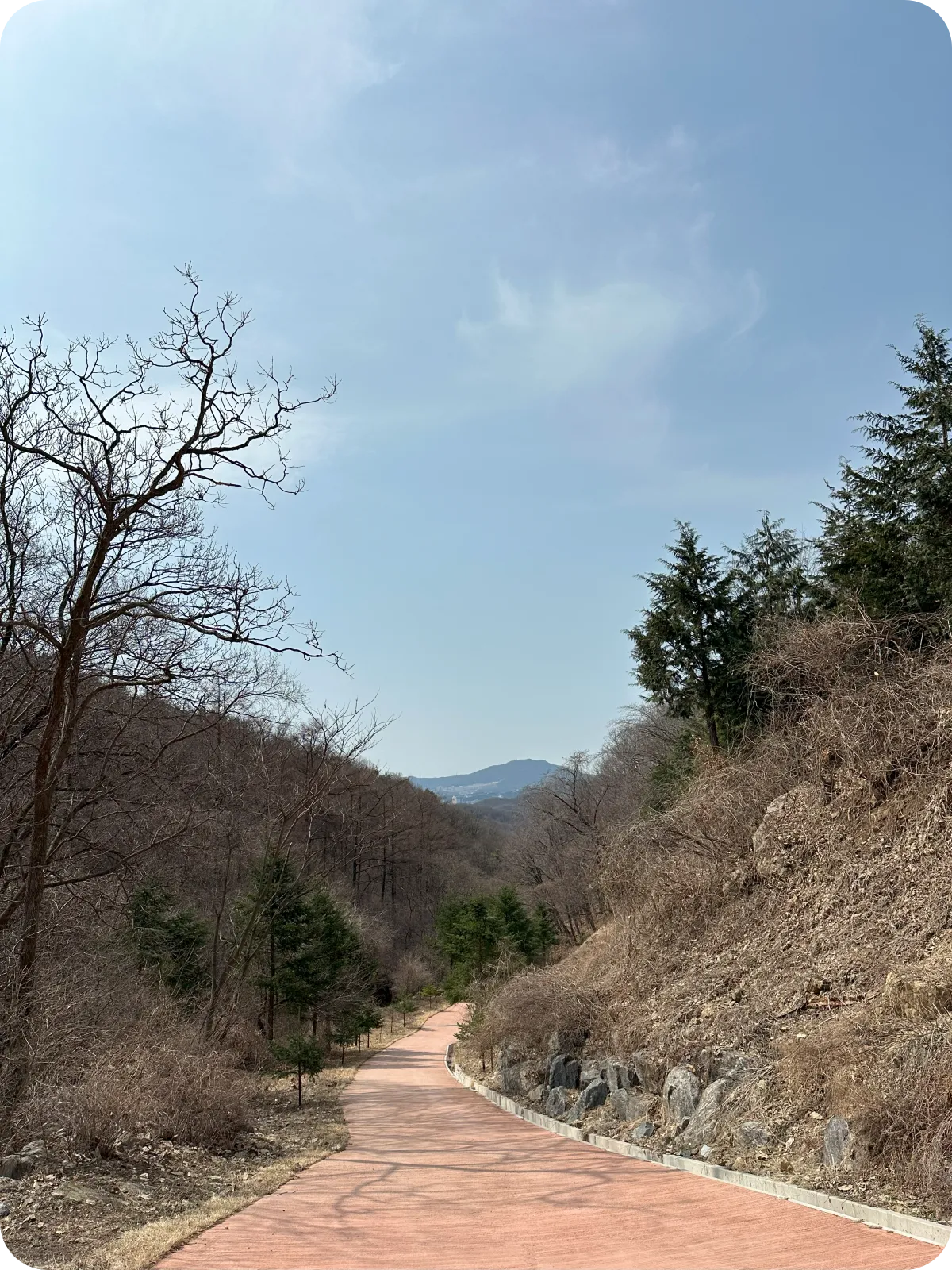 용인자연휴양림 등산로
