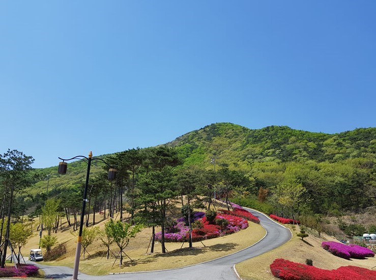 양산 cc