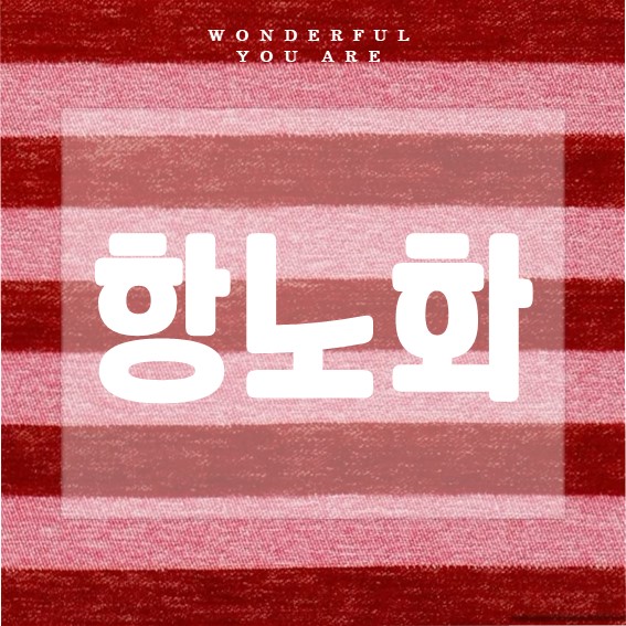 항노화 핵심 가이드: 노화 억제의 모든 것