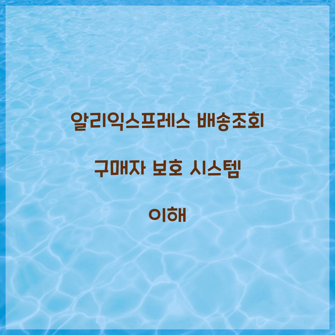 알리익스프레스 배송조회 구매자 보호 시스템 이해