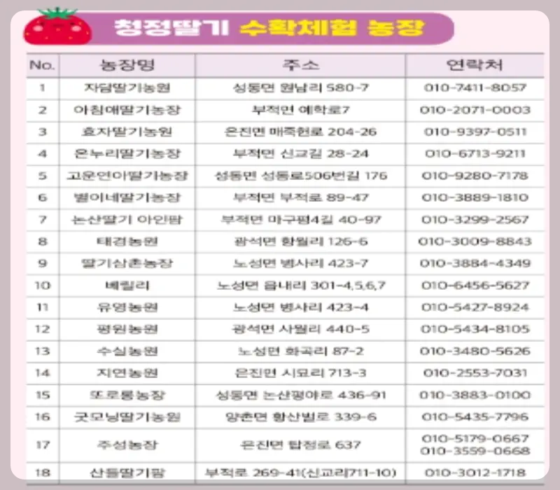 논산딸기축제 수확체험 농장