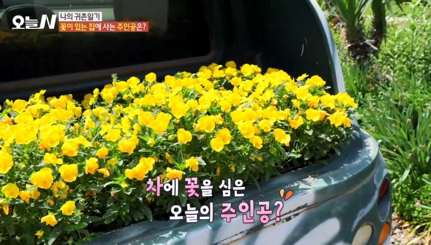 오늘N 나의 귀촌 일기 전남 담양군 대덕면 예쁜 정원 갤러리 카페 달빛여행 오늘N 2502회