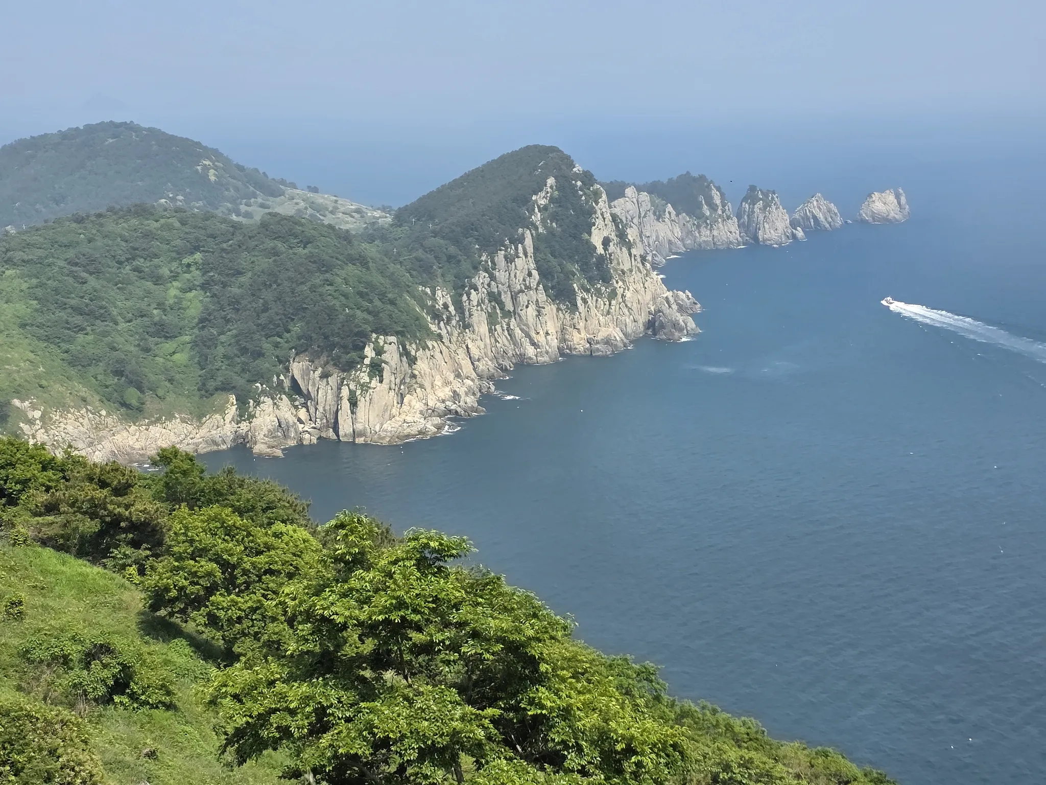 통영 연화도 수국 꽃길 산책 코스와 최적 관람 시기_4