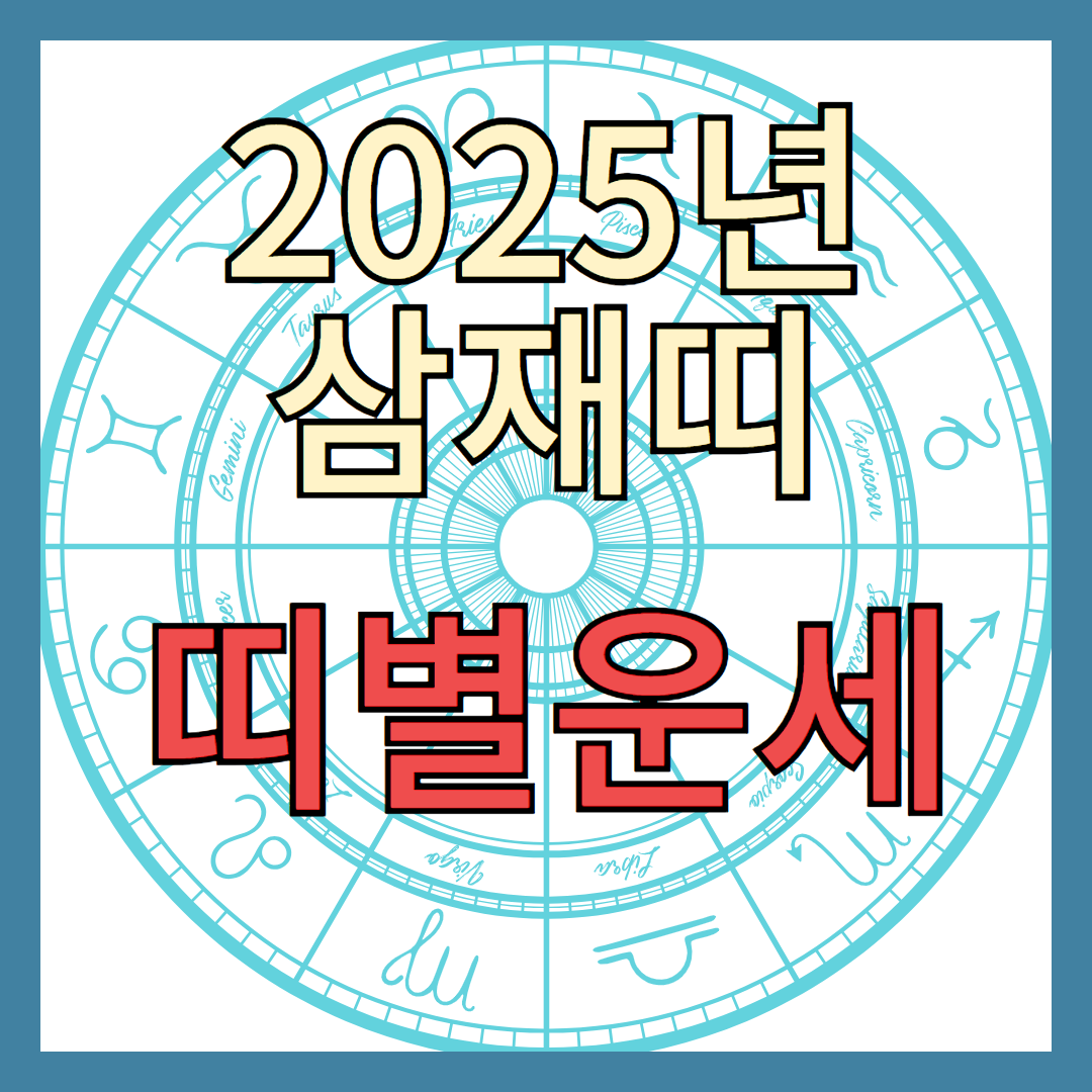 2025년 삼재띠