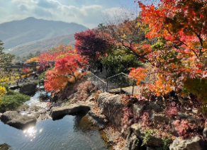 화담숲 단풍