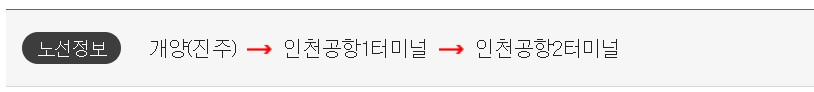 개양 진주 인천공항 리무진 버스 시간표 요금 예약 방법