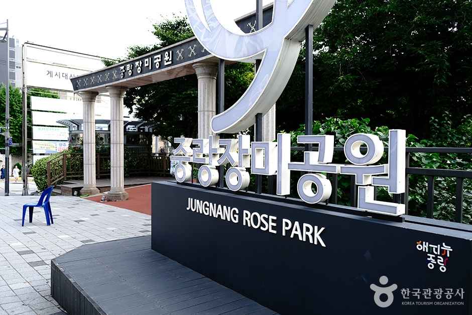 날짜별 주요 행사 프로그램