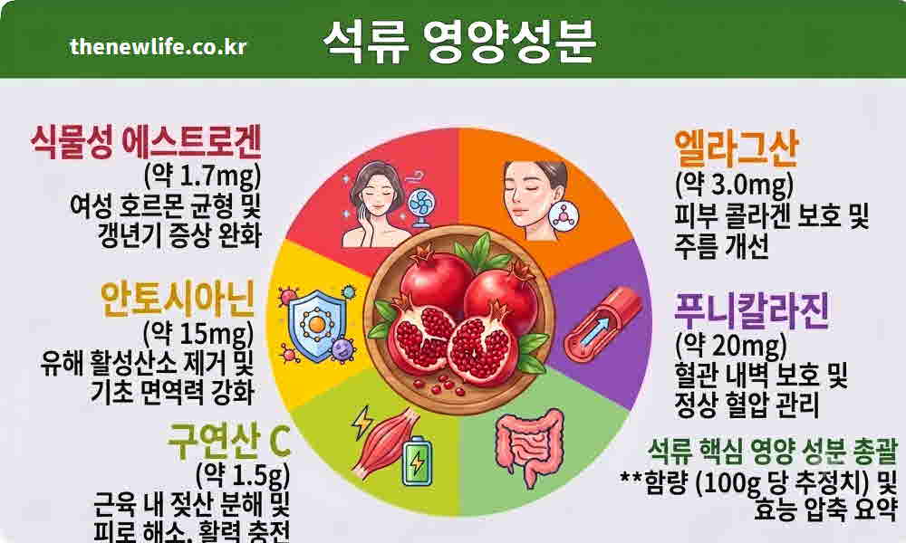 석류 영양성분