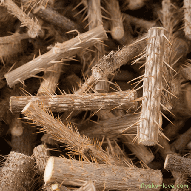 만병통치약 오가피