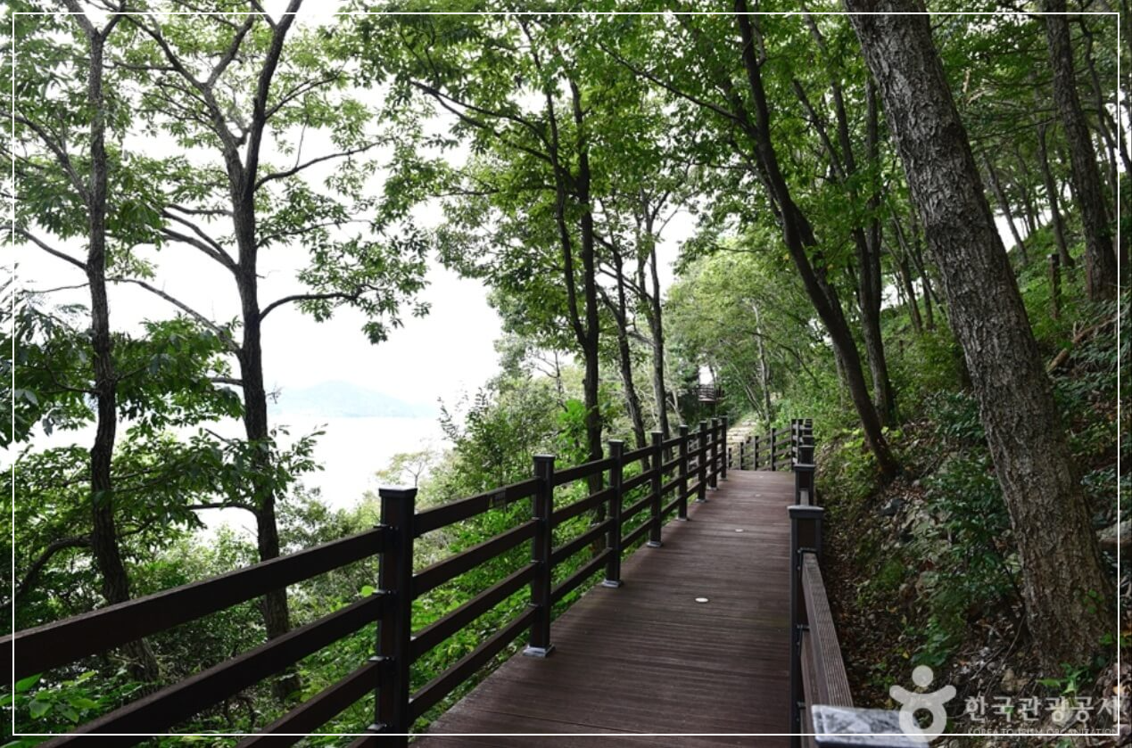 완도 가볼만한곳 베스트10 약산 해안 치유의 숲