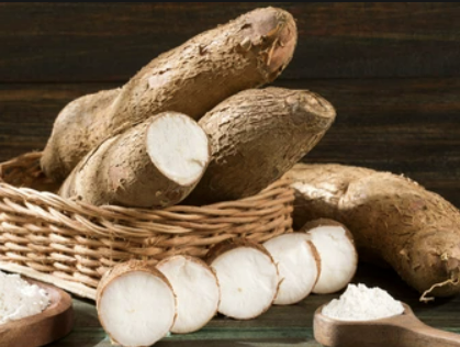 칡의 효능 부작용 섭취방법 칡효소 만드는법 총정리