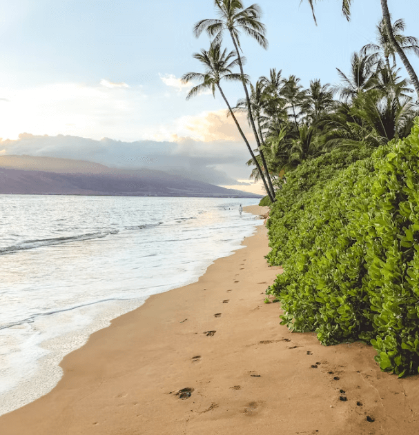 하와이 자유여행: 섬별 완벽 가이드 