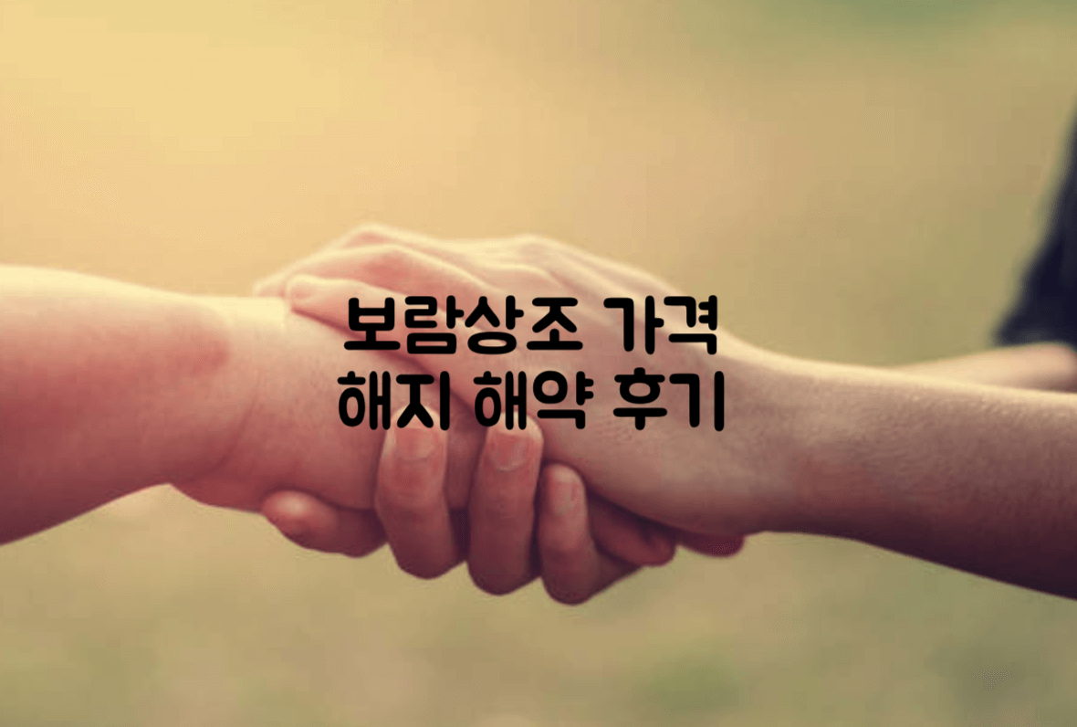 보람상조